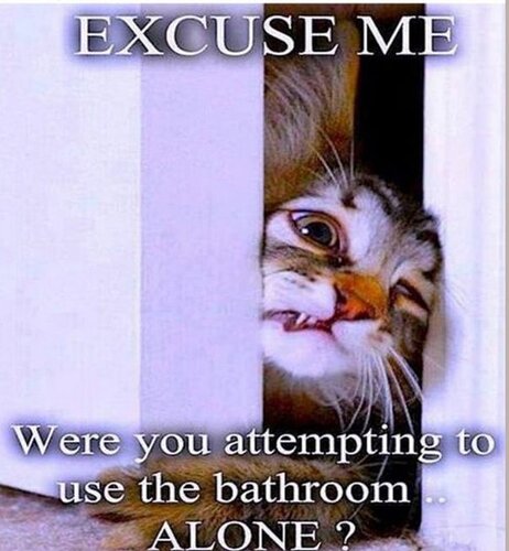 main-qimg-48df2f0b208140b20dfc9cffc6afcbfb-lq