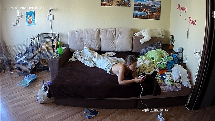 Screenshot_20230906-084744_Chrome