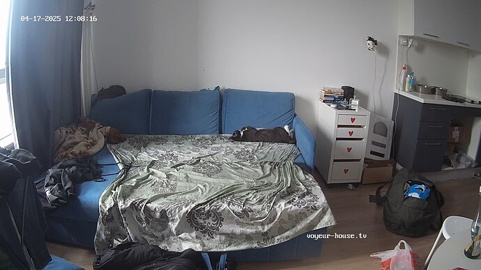 videoframe_3683