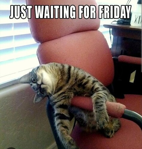 main-qimg-b0e76a699be07f4d8f982574cd13d572