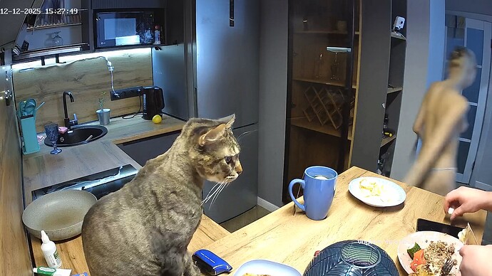 realm94-cam12-1765542509