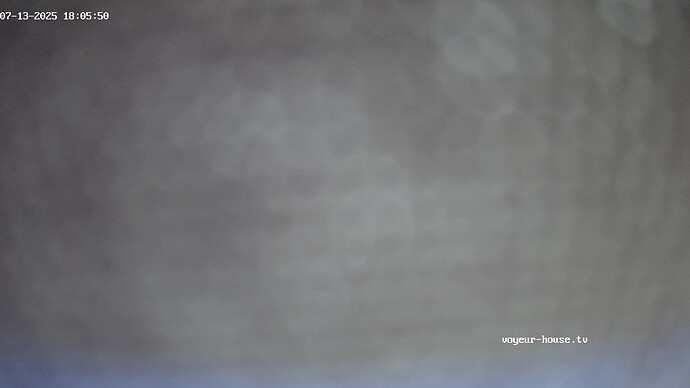 realm51-cam14-1752419186