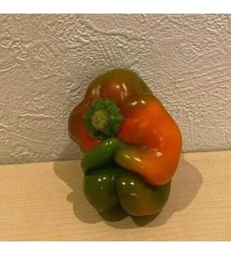 486669551_10232473789939442_2538825175960197305_n