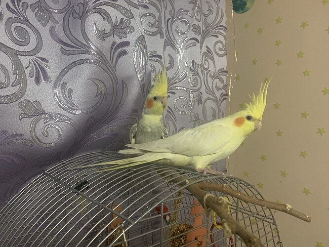 photo_2023-09-30_01-52-07