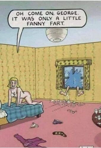 fanny fart