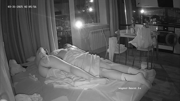 Ashampoo_Snap_lundi 31 mars 2025_1h6m21s_004_Living room camera at Tea reallifecam apartment at Voyeur House TV (cam14) - Google Chrome