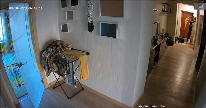 Screenshot 2023-08-20 at 03-56-14 Bedroom camera at Momo reallifecam apartment at Voyeur House TV (cam18)