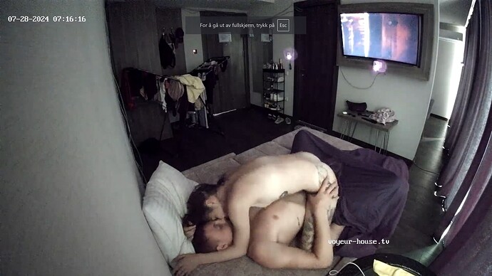 Noldus 2024-07-28 05-16-44-504