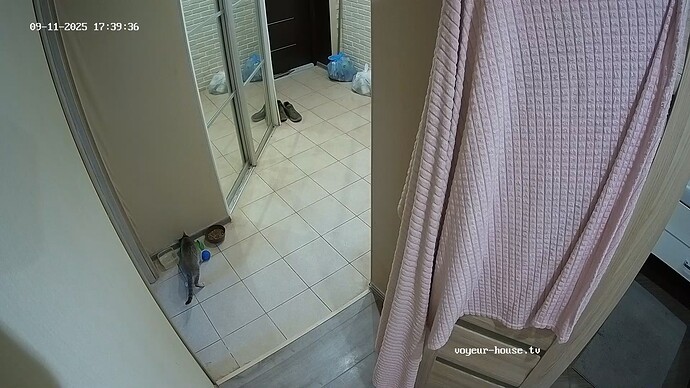 realm62-cam111-1757606030