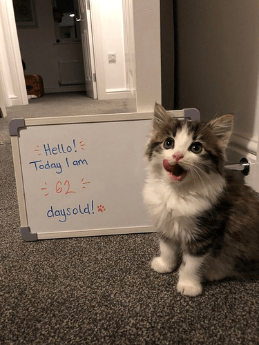 main-qimg-095bfe2779f69e6aa7fb5076598e26e2