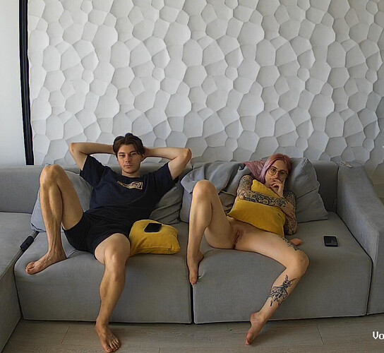 Screenshot 2023-08-17 at 17-04-59 Living room camera at Lynda & Blade reallifecam apartment at Voyeur House TV (cam15)