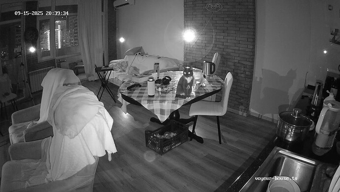 realm114-cam11-1757954407