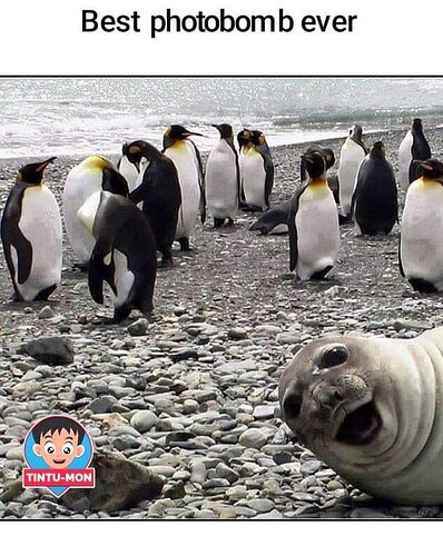 main-qimg-9322f7c40ad671cfb1f2b5661821a5de-lq