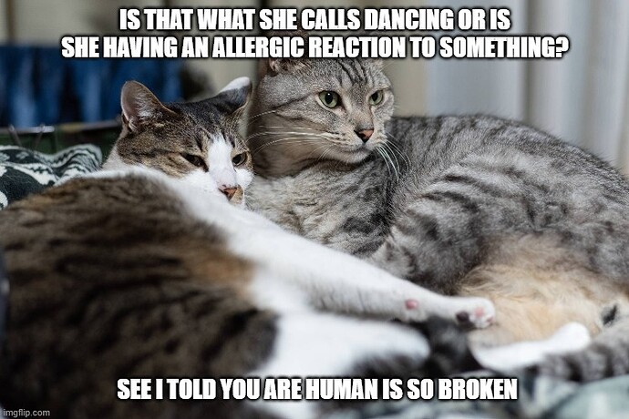 main-qimg-66a78bff8601deee334d73c232779aac