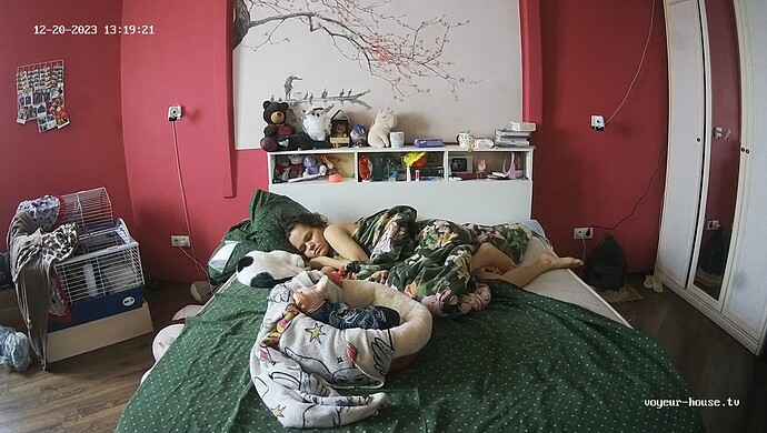 realm60-cam16-1703101518