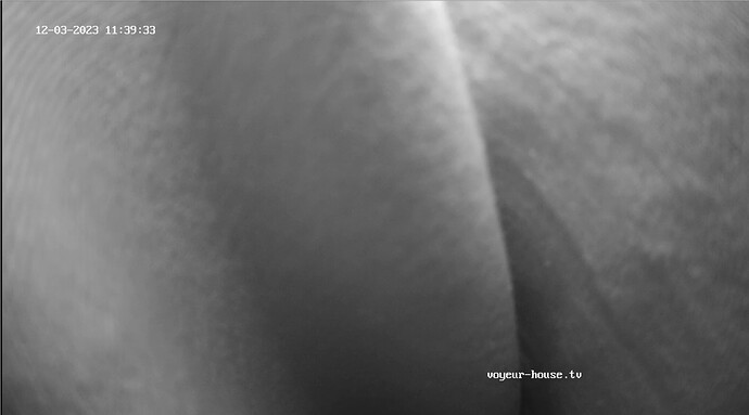 Screenshot 2023-12-03 at 03-39-52 Bedroom camera at Mira & Henry reallifecam apartment at Voyeur House TV (cam110)