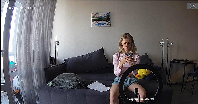 Screenshot 2023-05-15 at 11-28-37 Bathroom camera at Amelie & Lucas reallifecam apartment at Voyeur House TV (cam19)