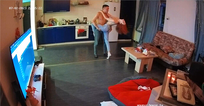 Screenshot 2023-07-02 at 15-49-29 Living room camera at Henry reallifecam apartment at Voyeur House TV (cam14)