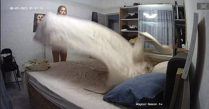 Screenshot 2023-08-08 at 22-34-25 Living room camera at Alida Gerda reallifecam apartment at Voyeur House TV (cam14)