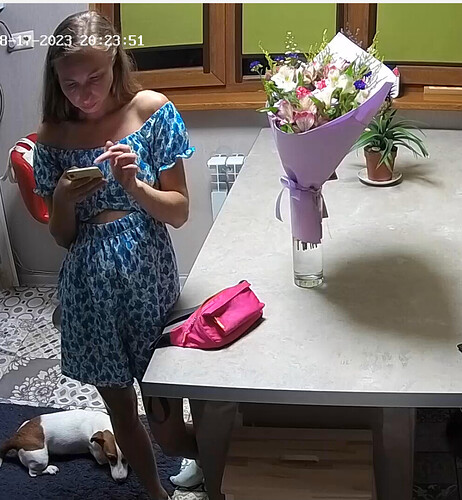 Screenshot 2023-08-17 at 13-58-15 Living room camera at Tyrone & Cindy reallifecam apartment at Voyeur House TV (cam16)