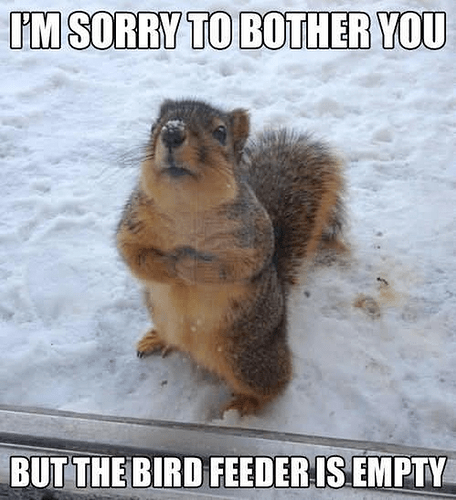 main-qimg-d55ea01d10191341cf7d8d9ce432d01b