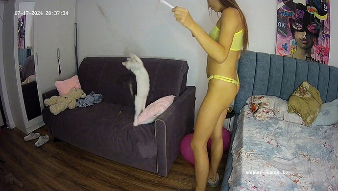 realm15-cam14-1721237890