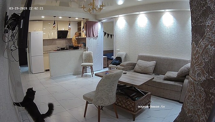 realm65-cam13-1710871638