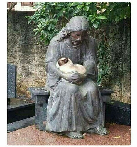 main-qimg-fa6f24251cc75a7754c12b23ae12e32a~3