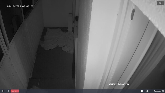 Noldus 2023-08-18 21-16-44-587