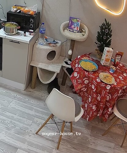 realm56-cam11-1766083888