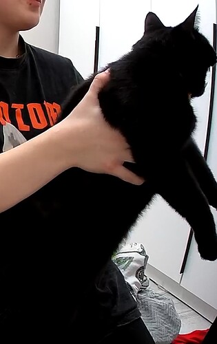 Screenshot 2025-12-10 173032