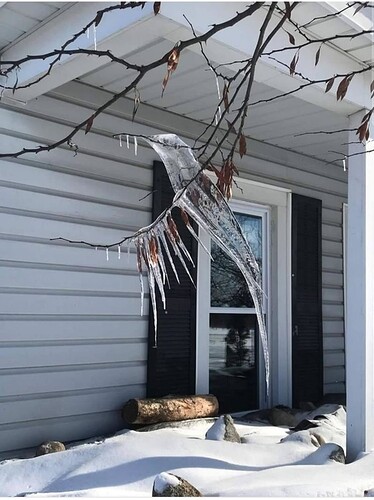 Freeze, thaw and refreeze caused this icicle to look like a hummingbird