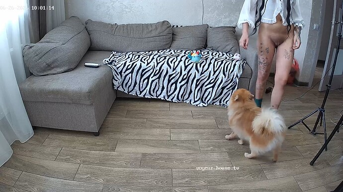 realm5-cam15-1782457451
