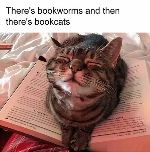 Bookcats