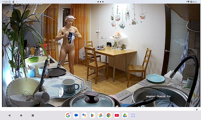 Screenshot_20241229-172201