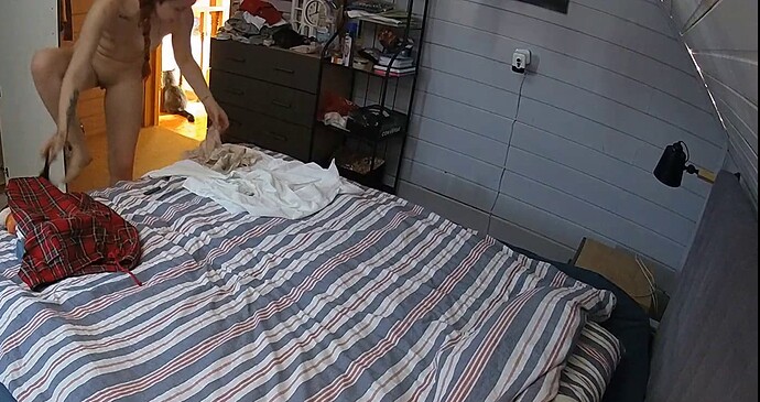 bandicam 2024-02-16 12-15-38-9622024-02-16 12-25-32-732-1a