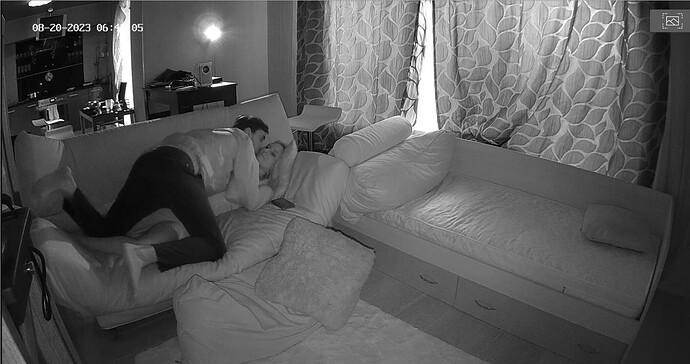 Screenshot 2023-08-20 at 03-54-05 Bedroom camera at Momo reallifecam apartment at Voyeur House TV (cam18)