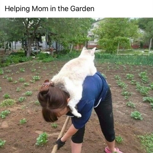 main-qimg-55f4dadd9ce235d50b714c4b32ef5b16