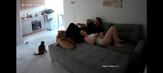 Screenshot_2024-06-29-19-49-16-50_8573dc4a856c512140bc72950d2d8f9e