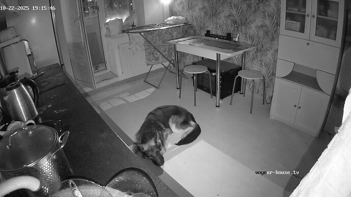 realm111-cam11-1761149763