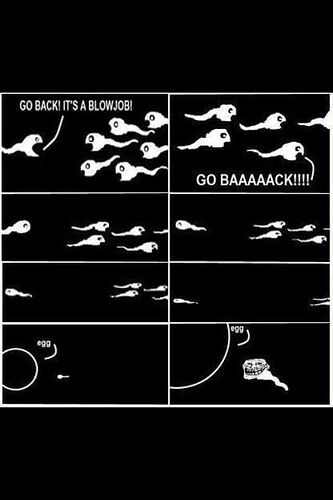 380600447_7553430871350708_8337194968833851425_n