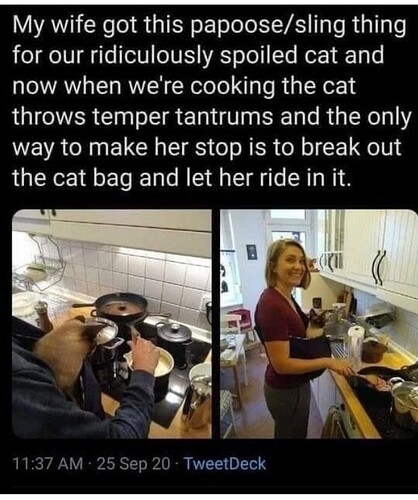 main-qimg-32599e6cce29a0e778d9497fdd2b2115