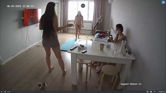 Ashampoo_Snap_lundi 3 juin 2024_14h8m42s_027_Living room camera at Anais, Niia, Mei reallifecam apartment at Voyeur House TV (cam13) - Google Chrome