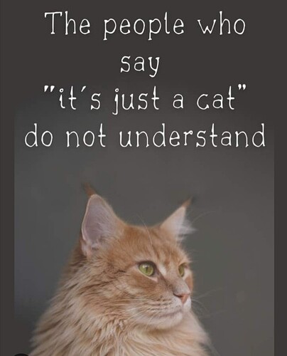 main-qimg-1eed2da6356c792d1ae1ace9dbe99596