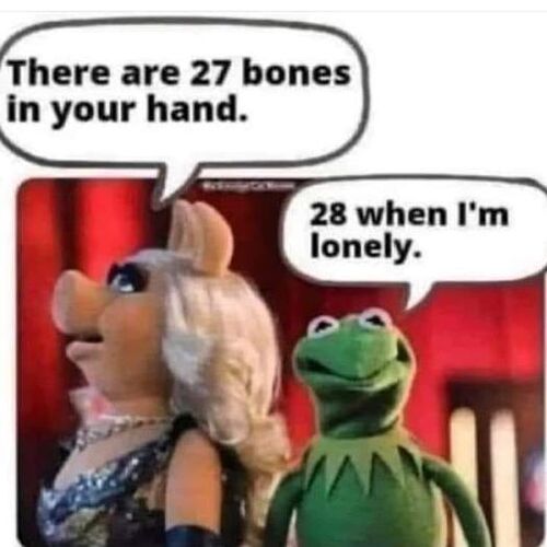 394208029_10227370255817044_6241938049171357328_n