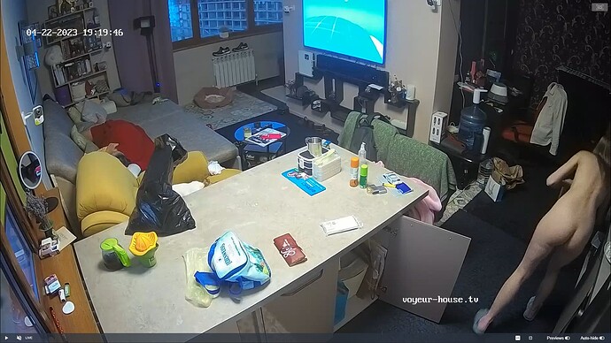 Ashampoo_Snap_samedi 22 avril 2023_18h22m46s_004_Clara & Stas apartment with reallifecam cameras at Voyeur House TV - Google Chrome