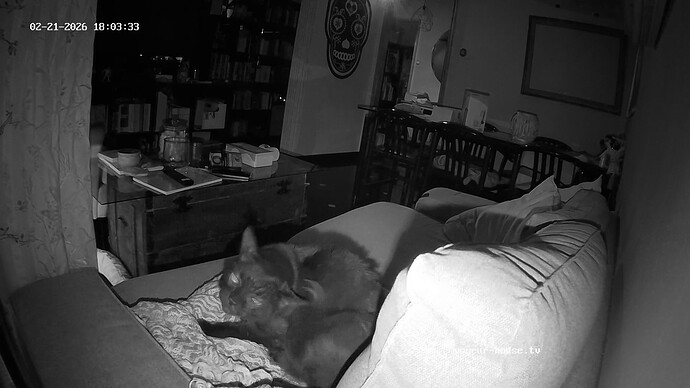 realm30-cam12-1771693457