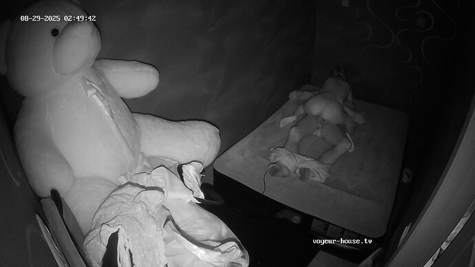 realm62-cam113-1756427415