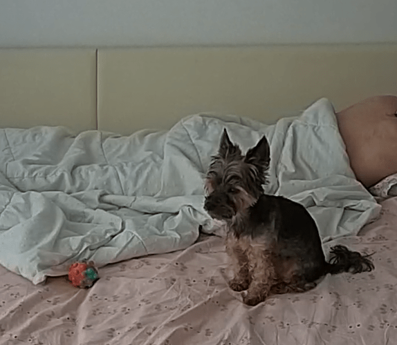 Screenshot 2024-01-04 112211