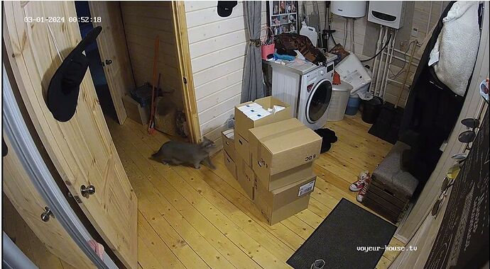 Screenshot_2024_03_01-9